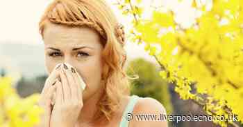 Hay fever sufferers urged to buy £3 Asda item as weather warms up
