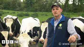 Farmers' concerns as wet fields dent milk output