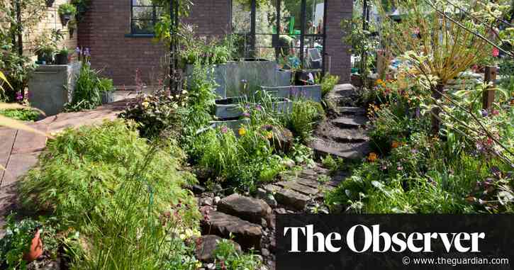 ‘Embrace the bog’: Chelsea flower show expert champions flood-proof garden