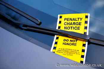 Some parking tickets can be thrown straight in the bin, expert explains