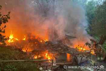 Gasfles ontploft op geïmproviseerd kampterrein in Watermaal-Bosvoorde en veroorzaakt bosbrand