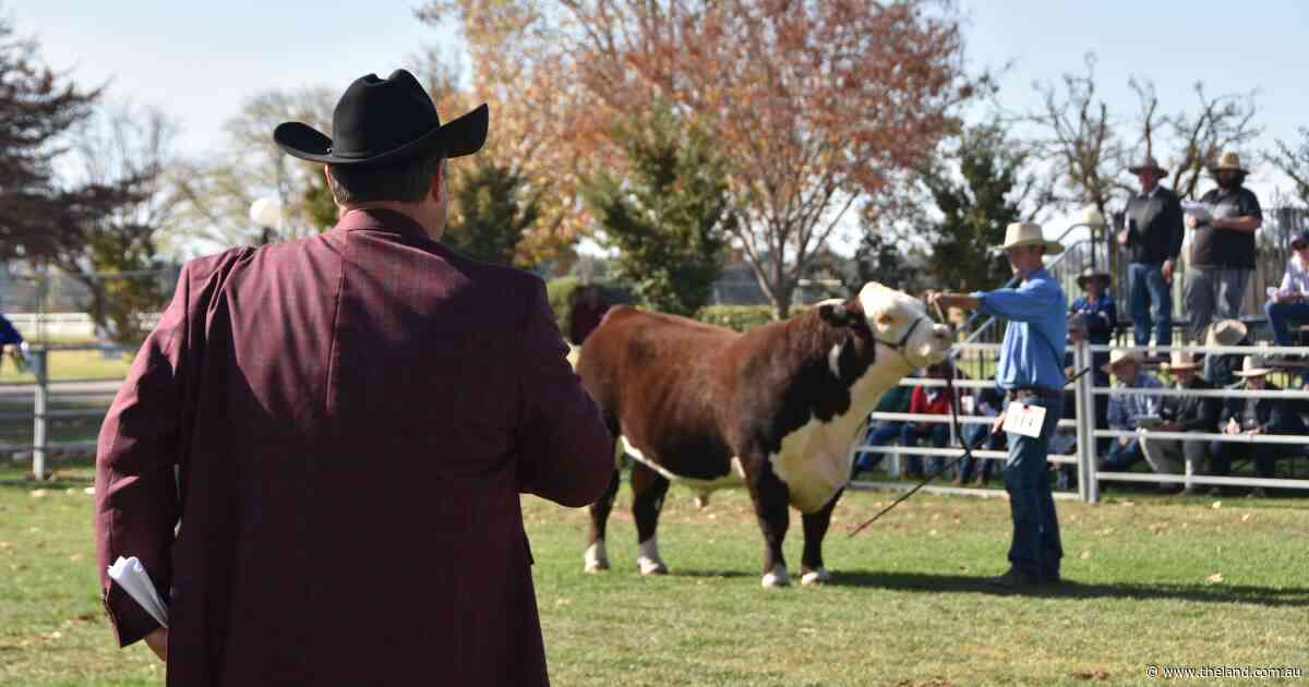 Faces around the Hereford National Show and Sale in Wodonga