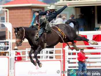 Alberta brothers building on family's legacy in the world of bronc riding
