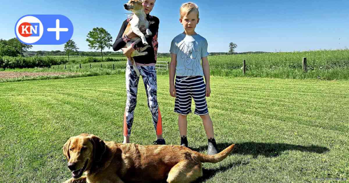 Zusammenleben von Kind und Hund: Hundetrainerin aus Hütten gibt Tipps