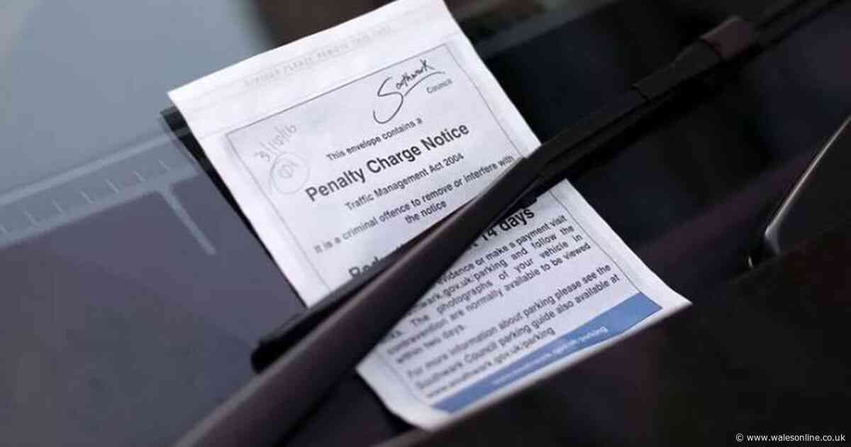 Drivers can ignore some private parking tickets and 'throw them in the bin', says an expert