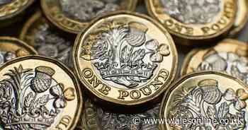 Check your pockets as £1 coin from 2016 could be worth £2,500
