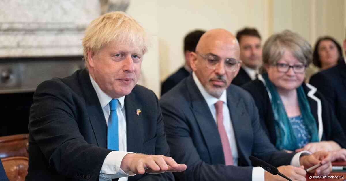 Nadhim Zahawi says Tories shouldn't have ousted Boris Johnson as party faces wipeout