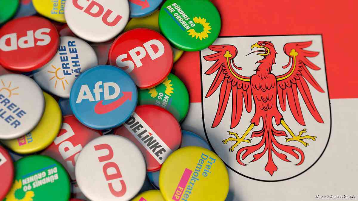Warum bei der Kommunalwahl in Brandenburg viele Parteilose antreten