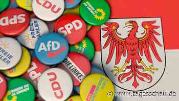 Warum bei der Kommunalwahl in Brandenburg viele Parteilose antreten