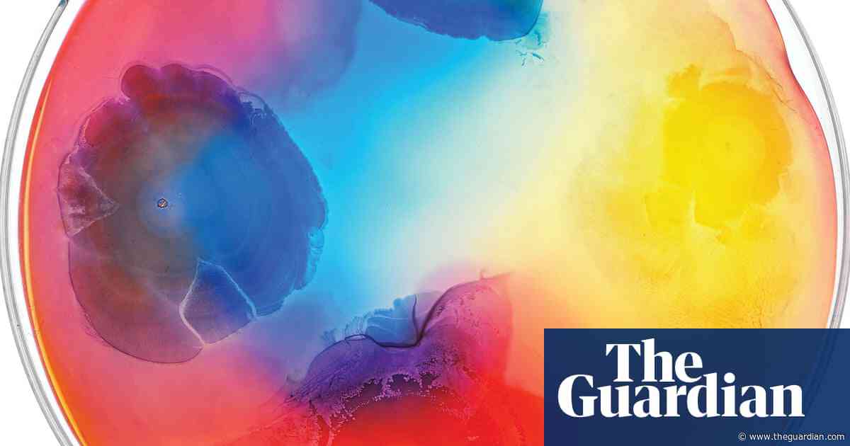Mesmerising microbes: bacteria as you’ve never seen them before – in pictures