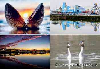 28 stunning shots of perfect symmetry in Wirral
