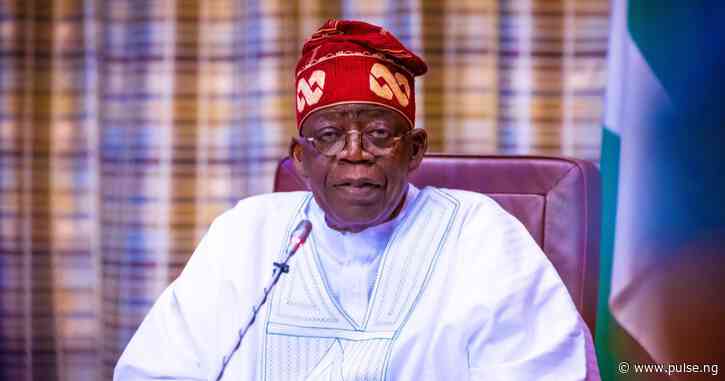 Students, youths’ bodies beg Tinubu to appoint competent CEO for PTI
