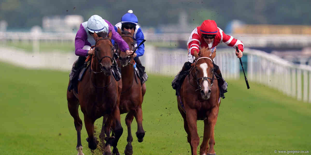 King’s Gambit impresses in London Gold Cup