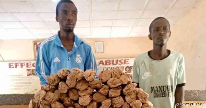 NDLEA arrests 4, seizes 2,025 explosives in Niger, Kano