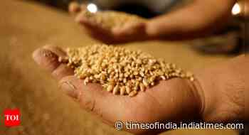 Wheat buy may miss target, but set to cross 2023 mark