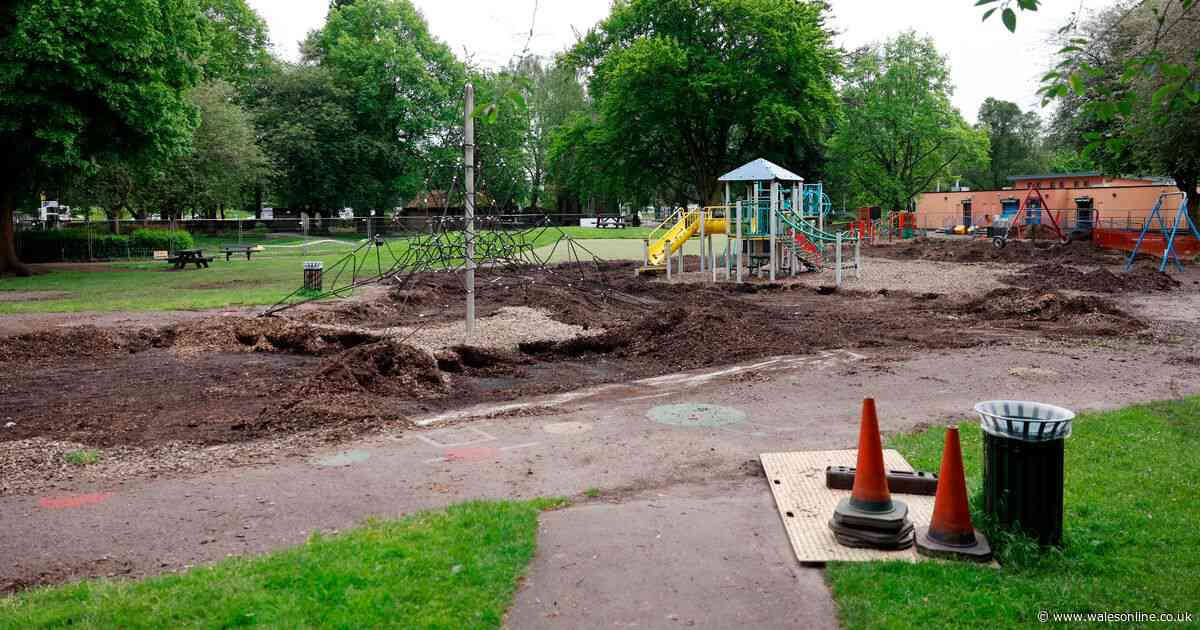 Pictures show massive work starting on popular Welsh park