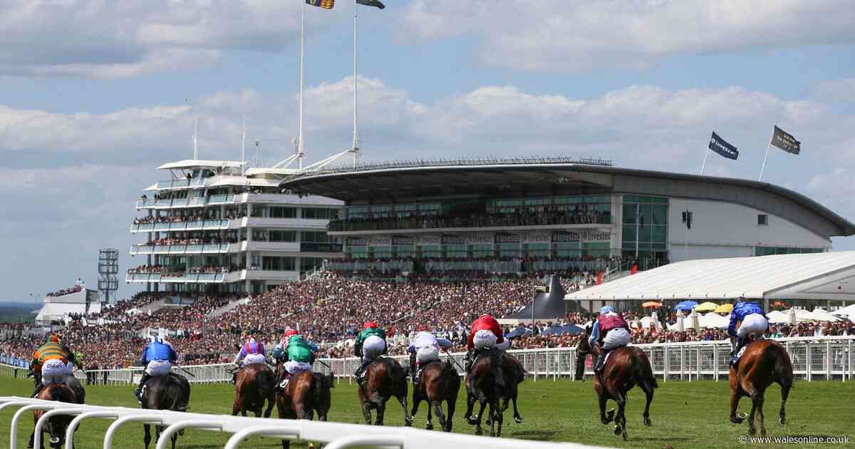 Watch live horse racing for free* with Racing TV -worth over £40