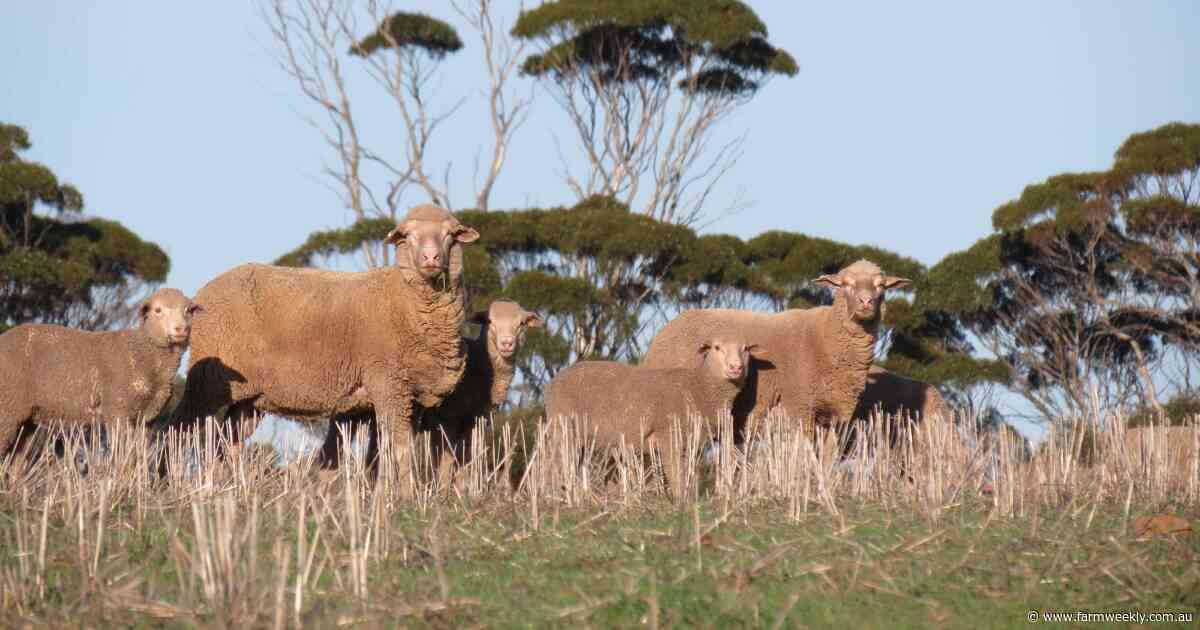 Pasture management a dry season priority