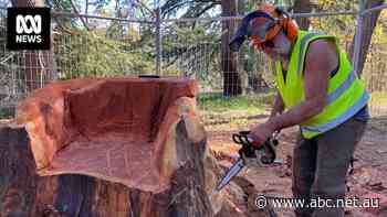 After lightning struck his hometown's historic tree, inspiration struck this chainsaw artist