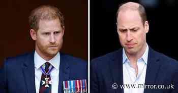 Prince Harry claims rubbished by expert as William 'hasn't got any room left in his soul'