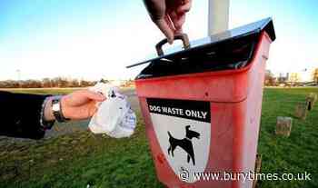 Bury dog poo: Hundreds of complaints but few fines