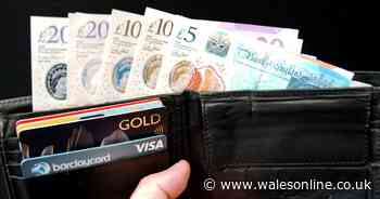 Half expect cashless society 'in lifetime', 15% never carry money