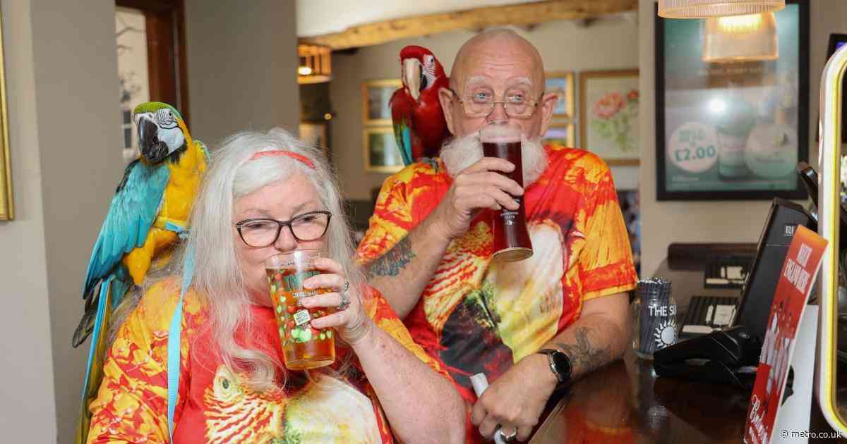 Couple love their pet parrots so much they take them to B&Q and the pub