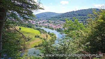 Das sind 6 der schönsten Wanderwege in und um Heidelberg