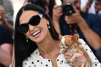 Festival de Cannes: Demi Moore prend la pose avec son chihuahua star Pilaf au photocall de "The Substance"