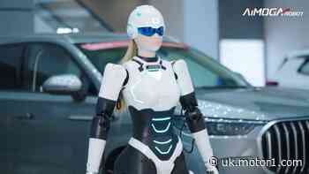 Who and what are the humanoid robots that build cars