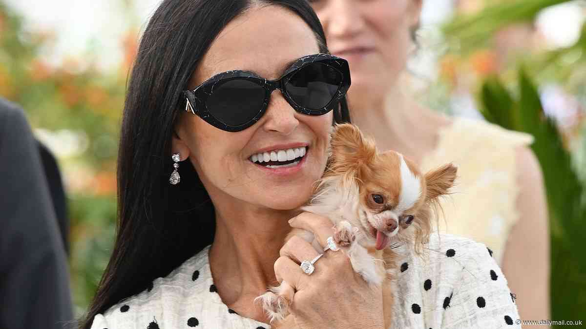 Demi Moore, 61, stuns at The Substance photocall during return to Cannes Film Festival after 25 years - as the horror receives rave reviews and a 13-minute standing ovation