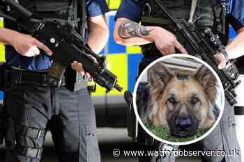 German Shepherd shot after Croxley Green canal attack