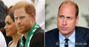 Prince Harry 'doesn't exist' to Prince William as wedge between them intensifies - expert