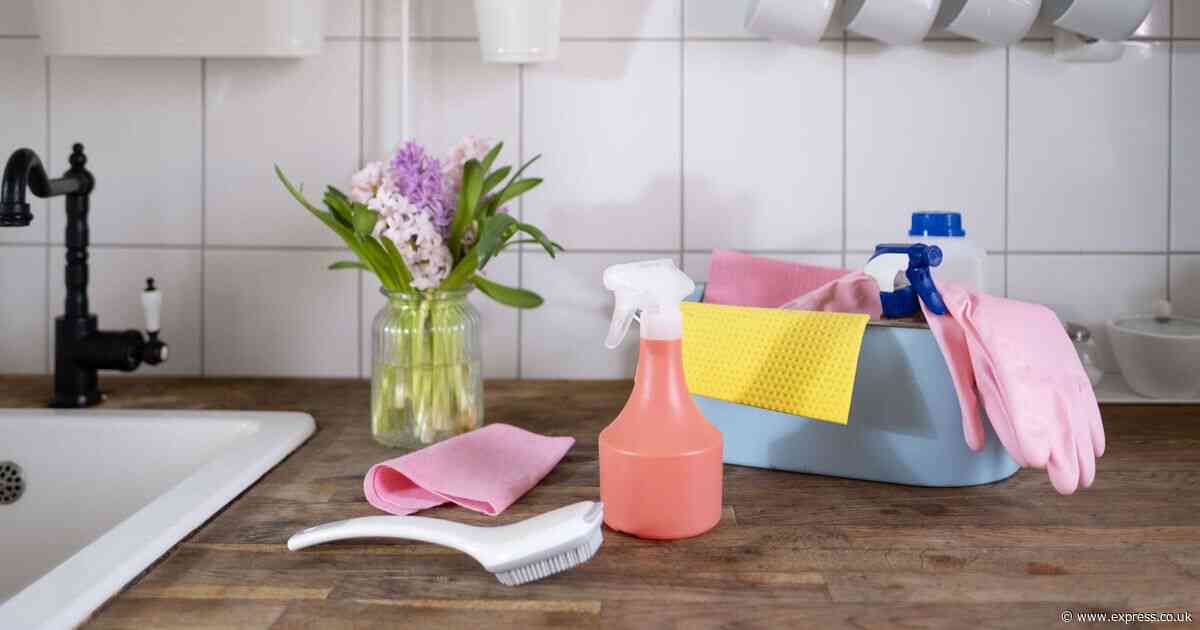 'I'm a cleaning pro - these four natural household items will leave your home sparkling'
