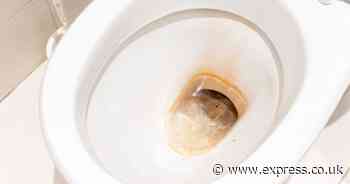 Remove toilet limescale in 15 minutes with 1 household item - not white vinegar or bleach