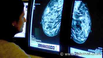 'This could help millions of women': Rishi Sunak hails first-of-its-kind AI breast cancer screening trial set to be rolled out on the NHS in bid to catch lumps earlier than ever