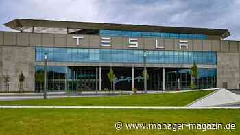 Tesla: Gegner des Fabrikausbaus in Grünheide prüfen Klage
