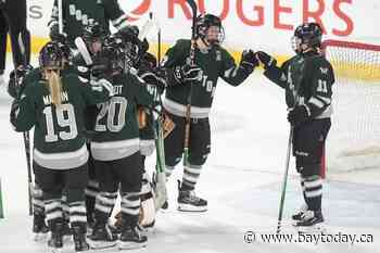 Jess Healey's goal lifts Boston to 4-3 win vs Minnesota in 1st game of PWHL championship series