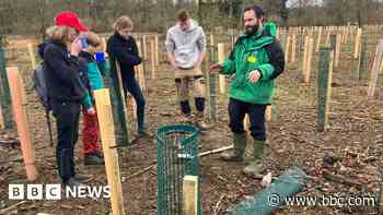 Thousands of trees planted for new woodland