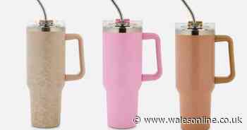 Primark fans going wild for extra large £10 'Stanley Cups' in different colours