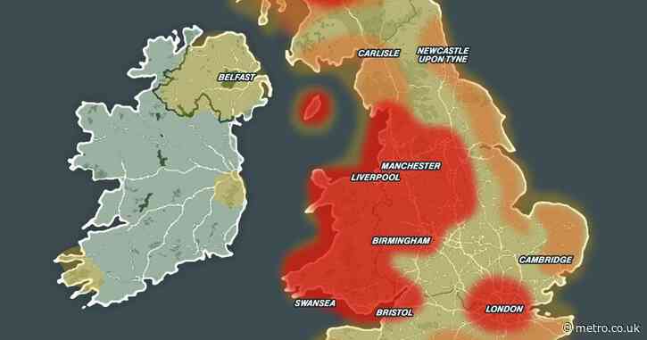 Map shows worst areas for Japanese knotweed