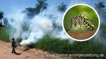 Tödliches Virus mit Rekord-Ausbruch: Dengue-Fälle steigen rasant – Zahlreiche Urlaubsländer betroffen