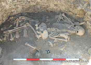 Remains of Iron Age human sacrifice victim found in Dorset