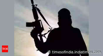 10 naxalites arrested in Chhattisgarh's Sukma district
