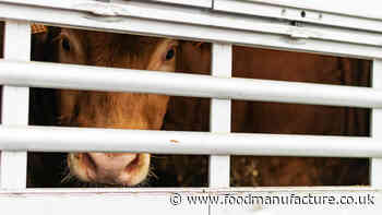 Law ends livestock exports
