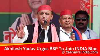 BSP Should Join INDIA Bloc: Akhilesh Yadav`s Request To Mayawati`s Party In 2024 Polls