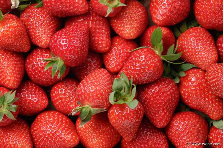 Find out how you can celebrate 'National Pick Strawberries Day'