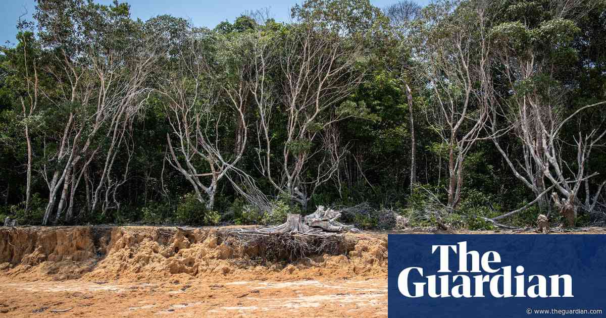 More than third of Amazon rainforest struggling to recover from drought, study finds