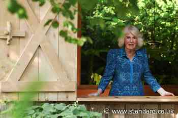 Camilla makes Bridgerton admission during Chelsea Flower Show royal visit