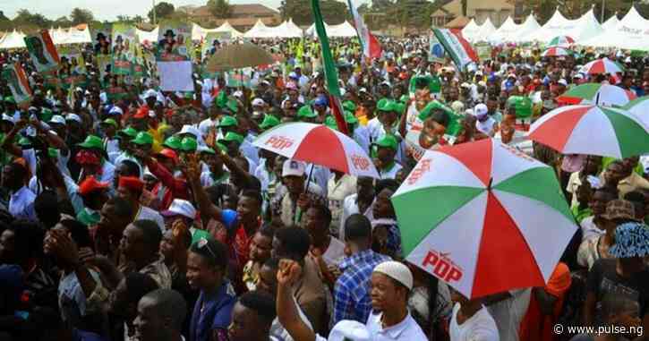 Don’t allow PDP go into extinction in Nigeria - Chieftain begs members